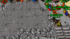 Kanerix on screen