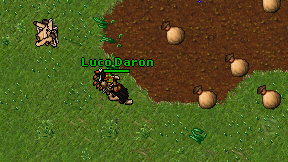 Luco Daron on screen