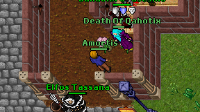 Amortis on screen