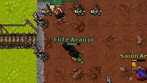 Elite Araujo on screen