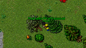 Matado Profisional on screen