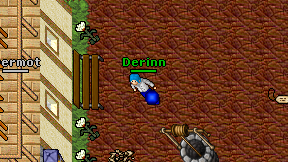 Derinn on screen
