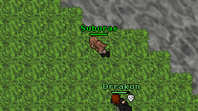 Suboras on screen