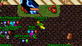 Haanis on screen