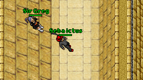 Seba ictus on screen