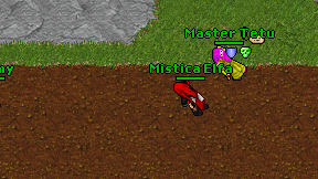 Mistica Elfa on screen