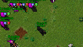 Seefi on screen