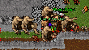 Hubik Master on screen
