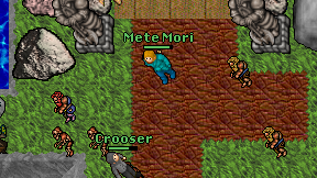 Mete Mori on screen
