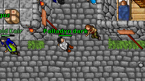 Palladyn dark on screen