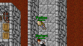 Pallas on screen