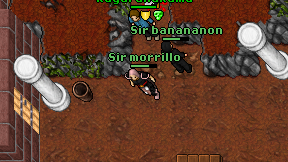 Sir morrillo on screen