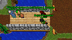 Aqua healer on screen