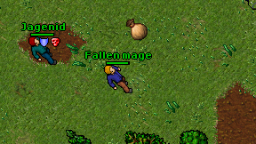 Fallen mage on screen