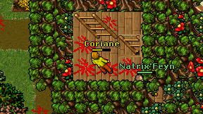 Coriane on screen