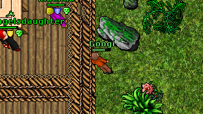Googi on screen