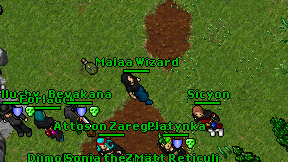 Malaa Wizard on screen