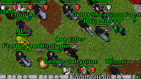 Ave Elder on screen