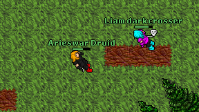 Arieswar Druid on screen