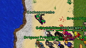 Cachopszenho on screen