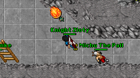 Knight Zloty on screen