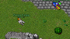 Zygg Zagg on screen