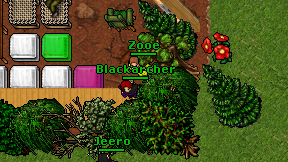 Zooe on screen