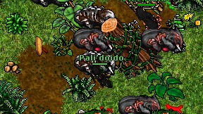 Pali'doido on screen