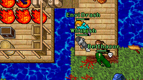 Whakish on screen