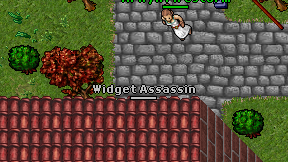 Widget Assassin on screen
