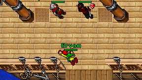 Ervam on screen