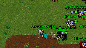 Myees Wielki on screen