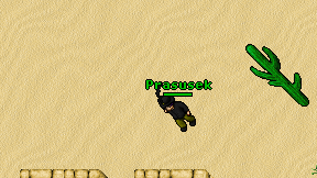 Prasusek on screen