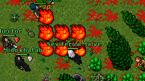 Seviterum Malve on screen