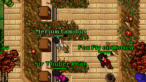 Merium tamibus on screen