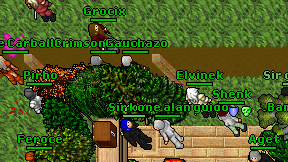 Gauchazo on screen