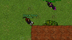 Joey Moo on screen