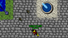 Nint Xell on screen