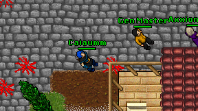 Caiaumm on screen