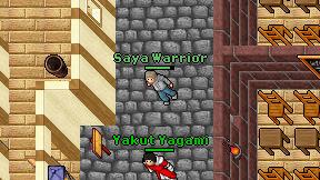 Saya Warrior on screen