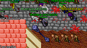 Anima arcania on screen