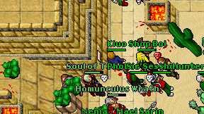 Kiuo on screen