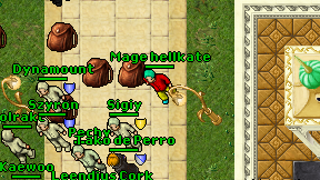 Mage hellkate on screen
