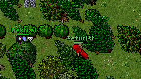 Seturist on screen