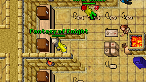 Fantasy of Knight on screen