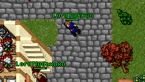 Lord Pakkun on screen