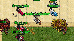 Magic Gadiador on screen