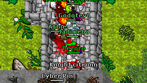 Jadimeba on screen