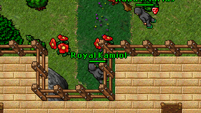 Royal Kamiol on screen