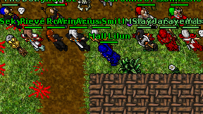 Mall Lilun on screen